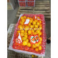 Baby orange mandarine sunt direct din fabrică